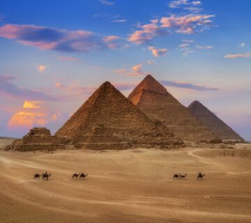 Bbda1babfdae0411bce5e0740bda6980 1 360x320